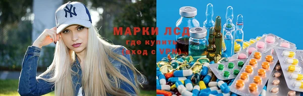 jwh Алзамай