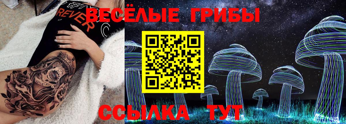 Чайковский  Псилоцибиновые грибы Psilocybine cubensis  Вход с VPN 