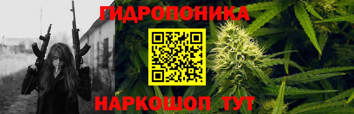 Чайковский  Бошки Шишки AK-47  Конопля конопля  МАРИХУАНА Amnesia  Канабис ГИДРОПОН  Вход с VPN 